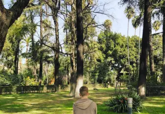English Garden in the Alcazar, Sevilla