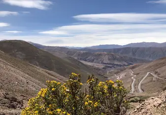 picture from jujuy (one of the program trips)