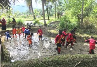 Students Planting Rice at Erna's Farm