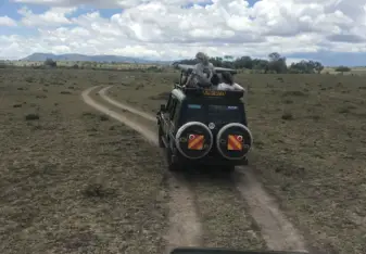 Masai Mara safari