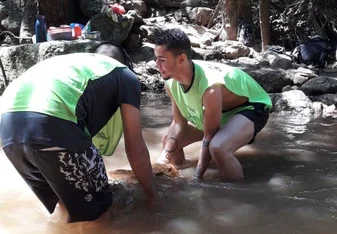 Volunteering In Rainforest