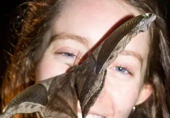 A Saturniidae on my face while completing a moth biodiversity lab