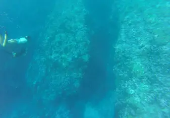 One of the many snorkel experiences you will have 