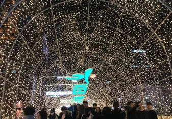 Lights from the Seoul Lantern Festival 2019