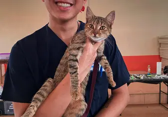 Patient