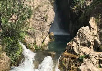Fuentes del algar