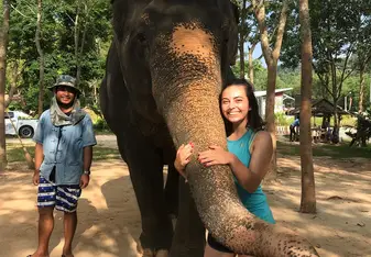 While traveling, I met some elephants!