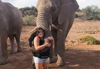 Elephant park Sarah