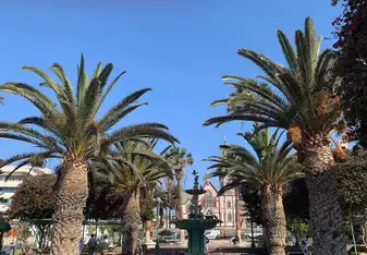 Arica! 