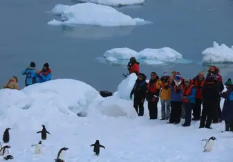 Group of people on right watching penguins on the left on a snowy peninsula in the foreground, icebergs in water in the background.