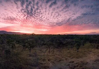 Oceans 2 Earth Volunteer with Australian Bush Conservation Safari