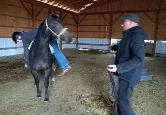 Me helping back the young horses