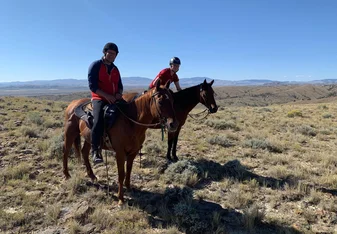 Cow camp ride