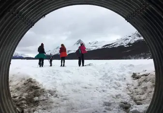Four people standing in snow on skis in front of snowy mountains
