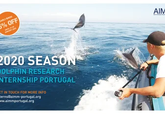 AIMM Dolphin Research Internship
