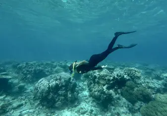 Snorkeling on The Great Barrier Reef in Australia 