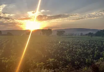 Sunset on the edge of the Village 