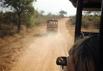 Driving through Kruger