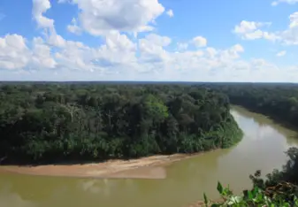 View of the rainforest from an overlook