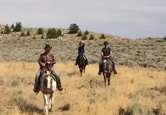 Riding like a cowgirl through the preerie