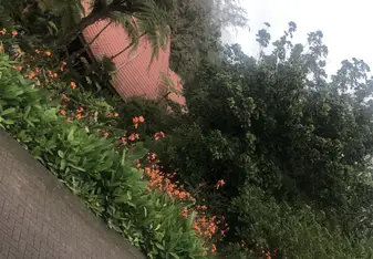 La fortuna 