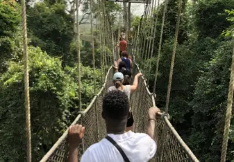 Cape coast hike and rope bridges- a weekend option