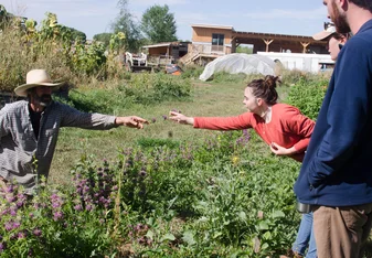 Reaching across a garden bed
