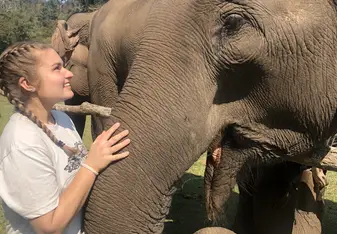 Feeding the elephant bananas!!