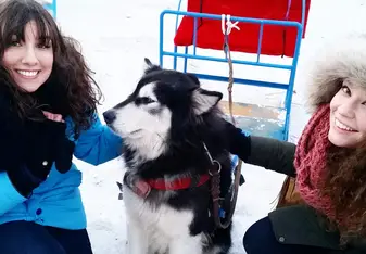 Traveling the world one dog sled at a time!