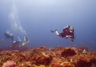 Learning to dive bubble free on a CCR