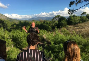 The lush greenery of the Peloponnese.