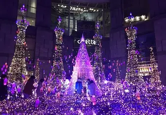 When you visit Tokyo in winter, remember not to miss the light illuminations. They have different themes and settings each year.