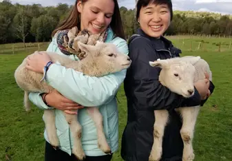 On a program trip to Chiloé we were able to explore many facets of the rural Chilean landscape and society- and hold the cutest newborn sheep!