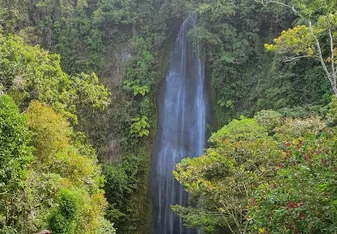 Pura vida