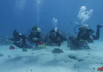 Girl dive team