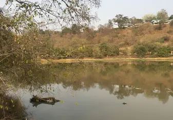Mole national park 