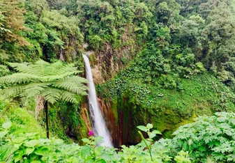 Lush jungle and waterfall in Costa Rica