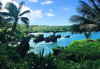 Summer in Hawai'i