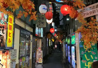 Shinjuku district