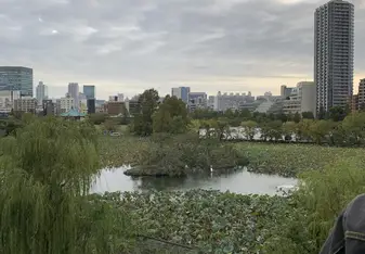 Japans Nature