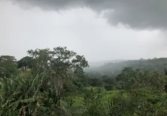 the view from the house before a rainstorm