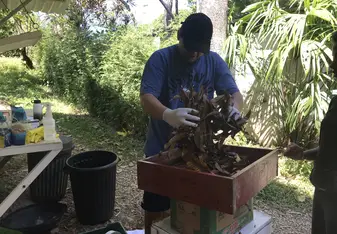 Preparing enrichment activities for the animals