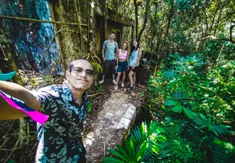 Exploring in the jungle 