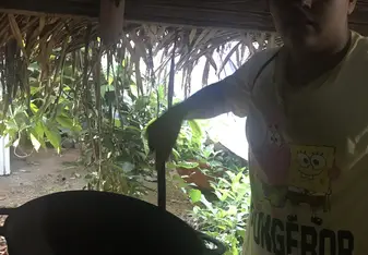 Chocolate farm