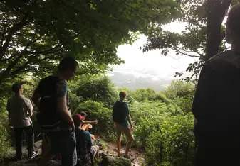 Some of Grace's friends looking out through greenery and leaves at the view of the mountain halfway up during her hike
