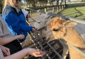 We got to feed animals as well as take care of them.