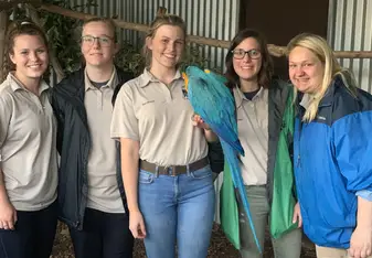 We got to help train the macaw to land on an arm.