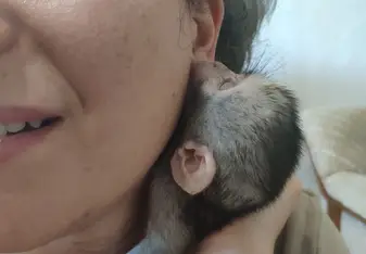 little one
