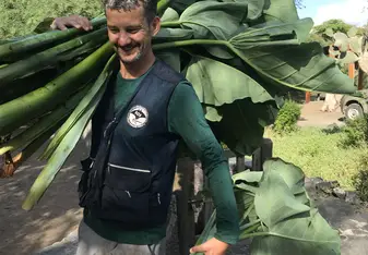 Feeding Otoi leaves to the Giant Tortoises