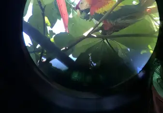 Una naturaleza para enamorarse